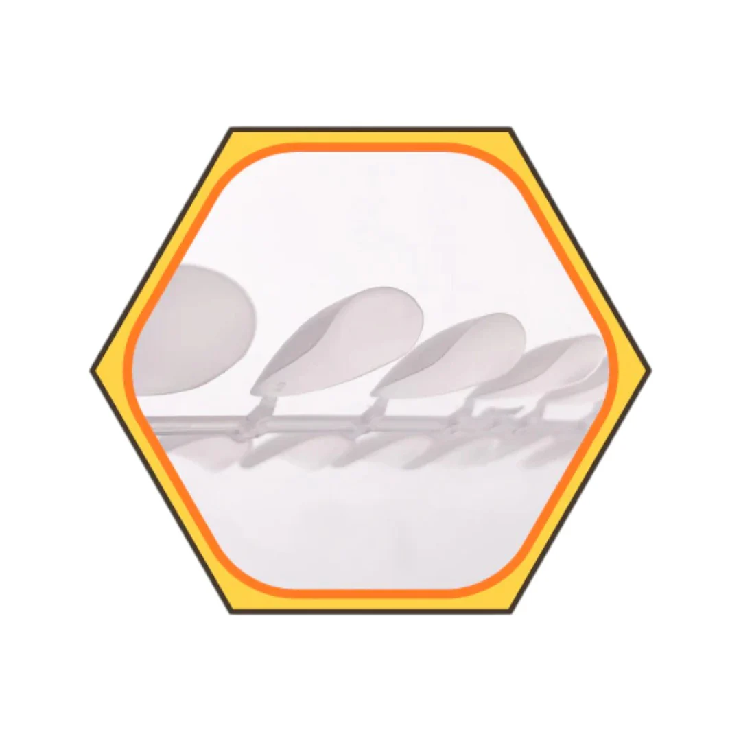 Bevlah Nail Tips Box - Honey Tips Ver.2 (360Pcs) - Image 6