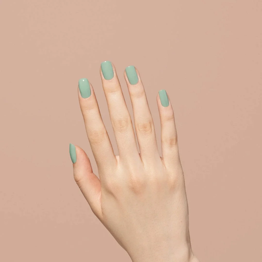 Bio Seaweed Gel #1027 Pretty In Sage - Image 3