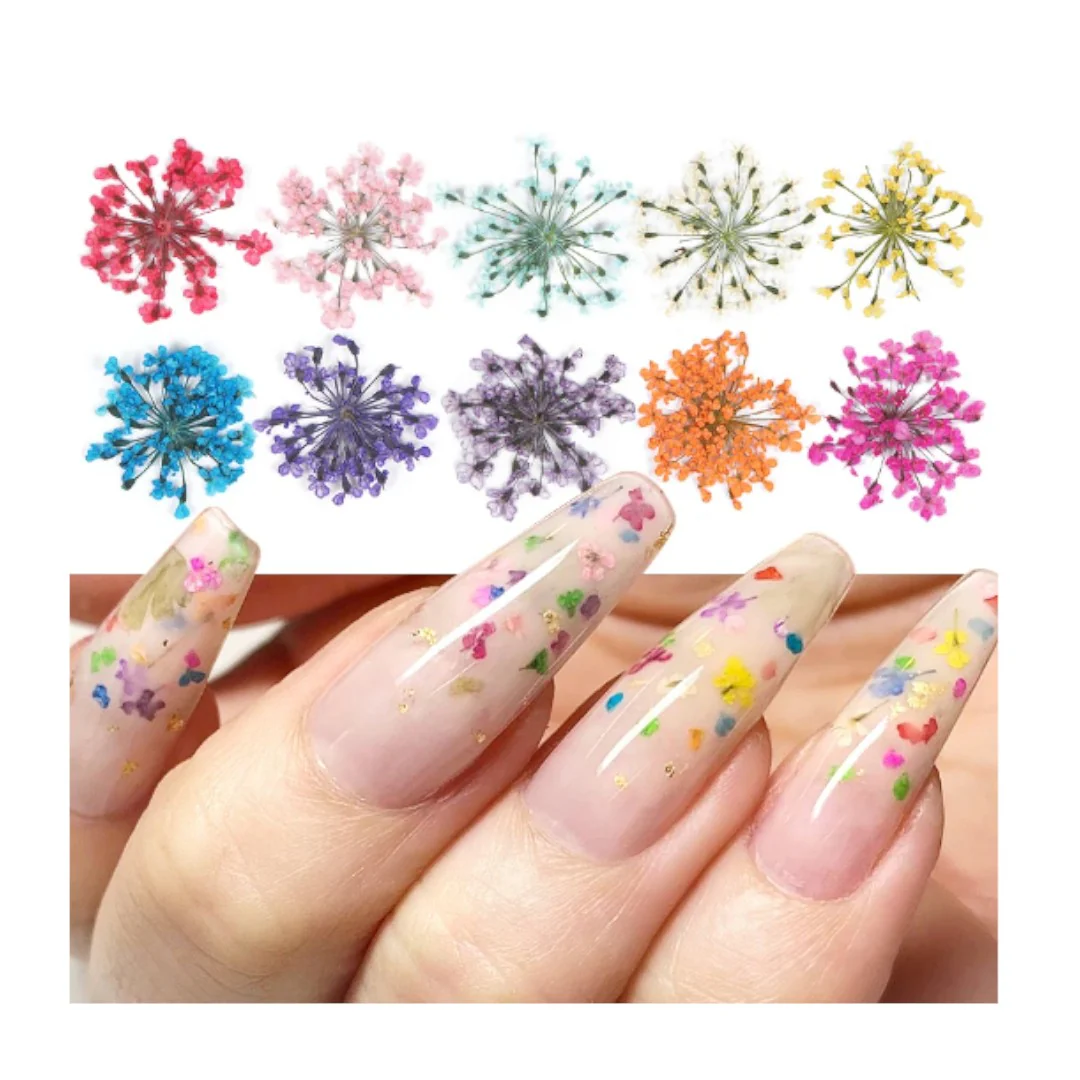CNBS Dried Flowers - Pressed Lace