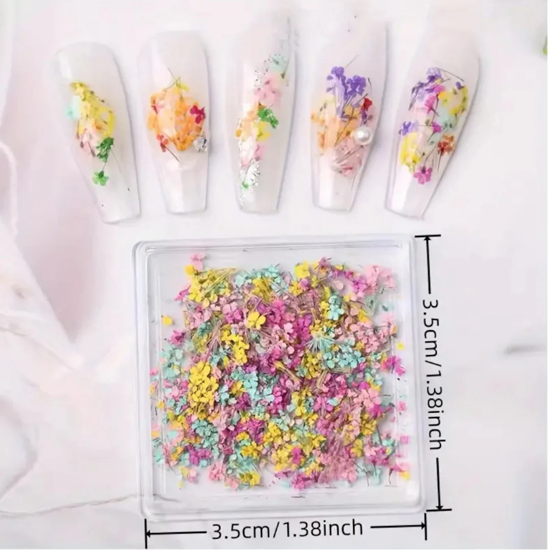 CNBS Dried Flowers - Mixed Pressed Lace - Image 5