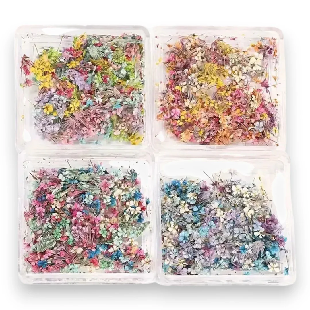 CNBS Dried Flowers - Mixed Pressed Lace - Image 6