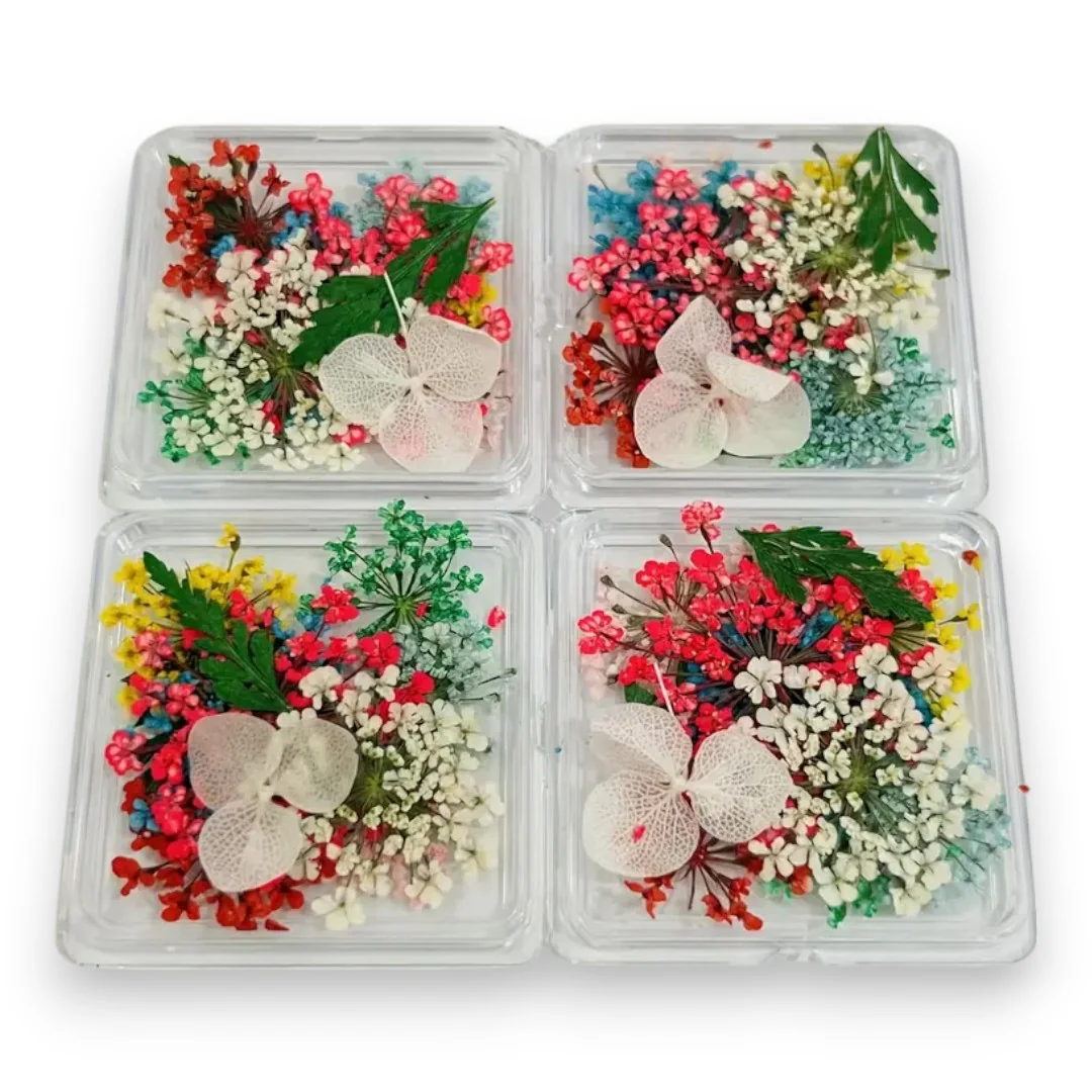 CNBS Dried Flowers - Mixed Pressed Lace - Image 8