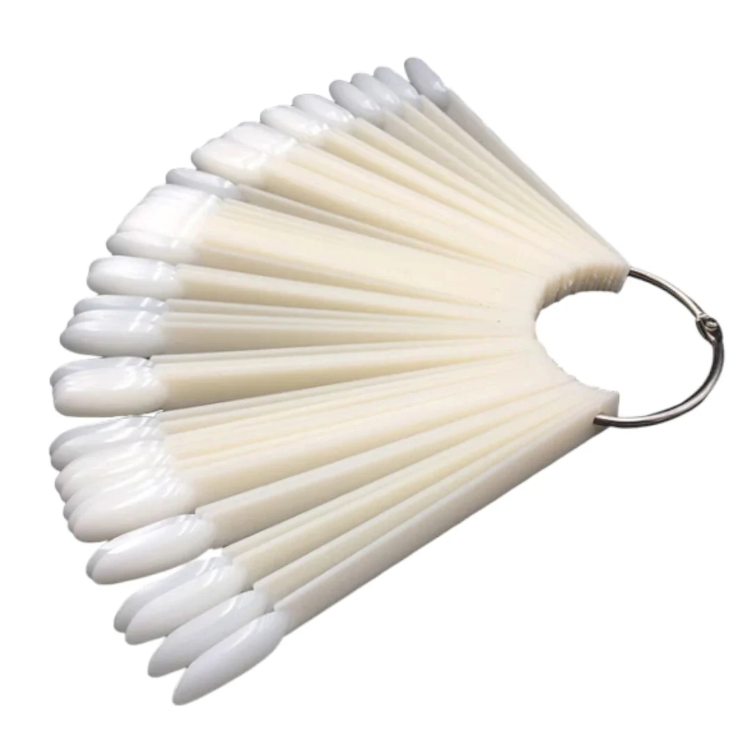 Colour Display - Fan Almond (Bag Of 50) - Image 2