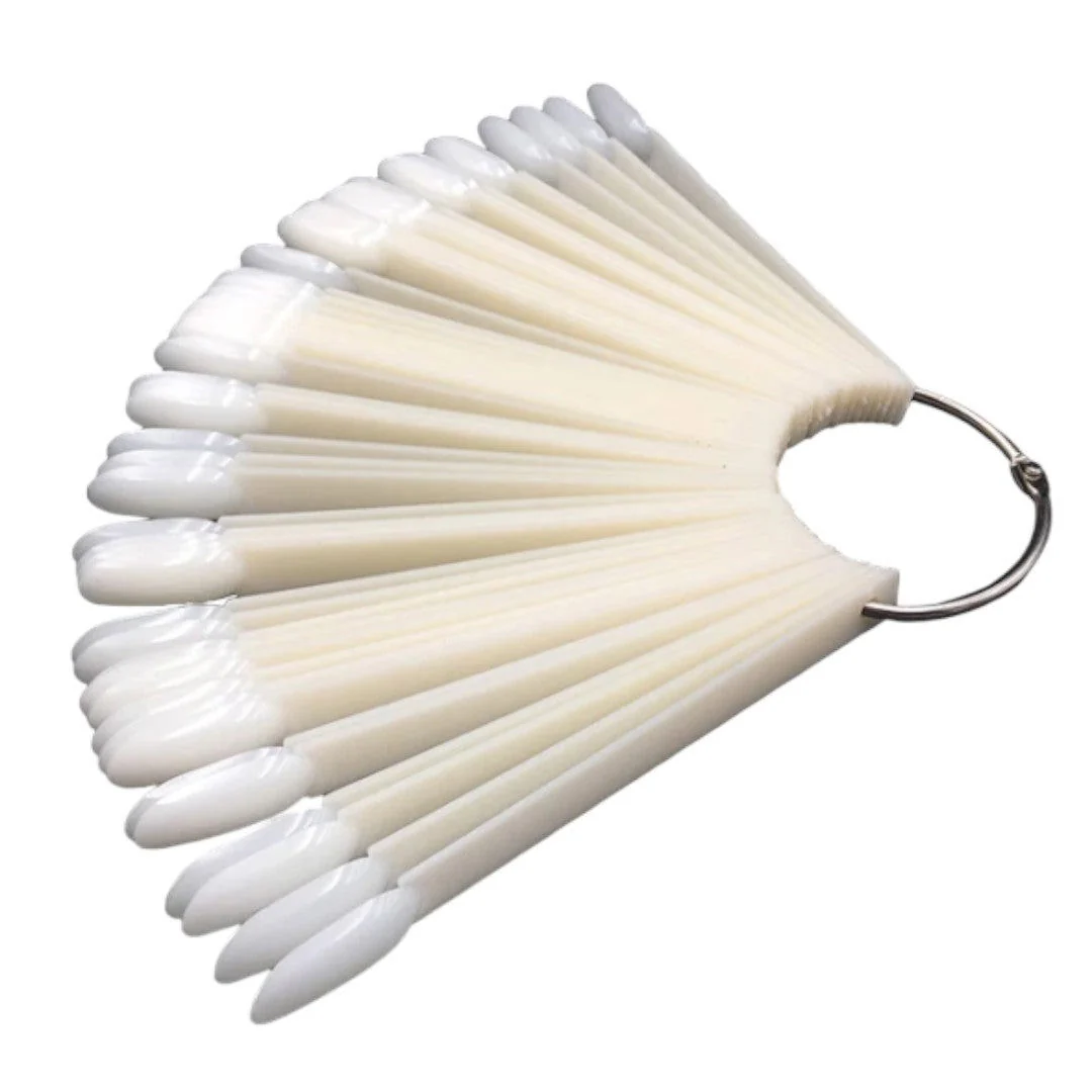 Colour Display - Fan Almond (Bag Of 50) - Image 4