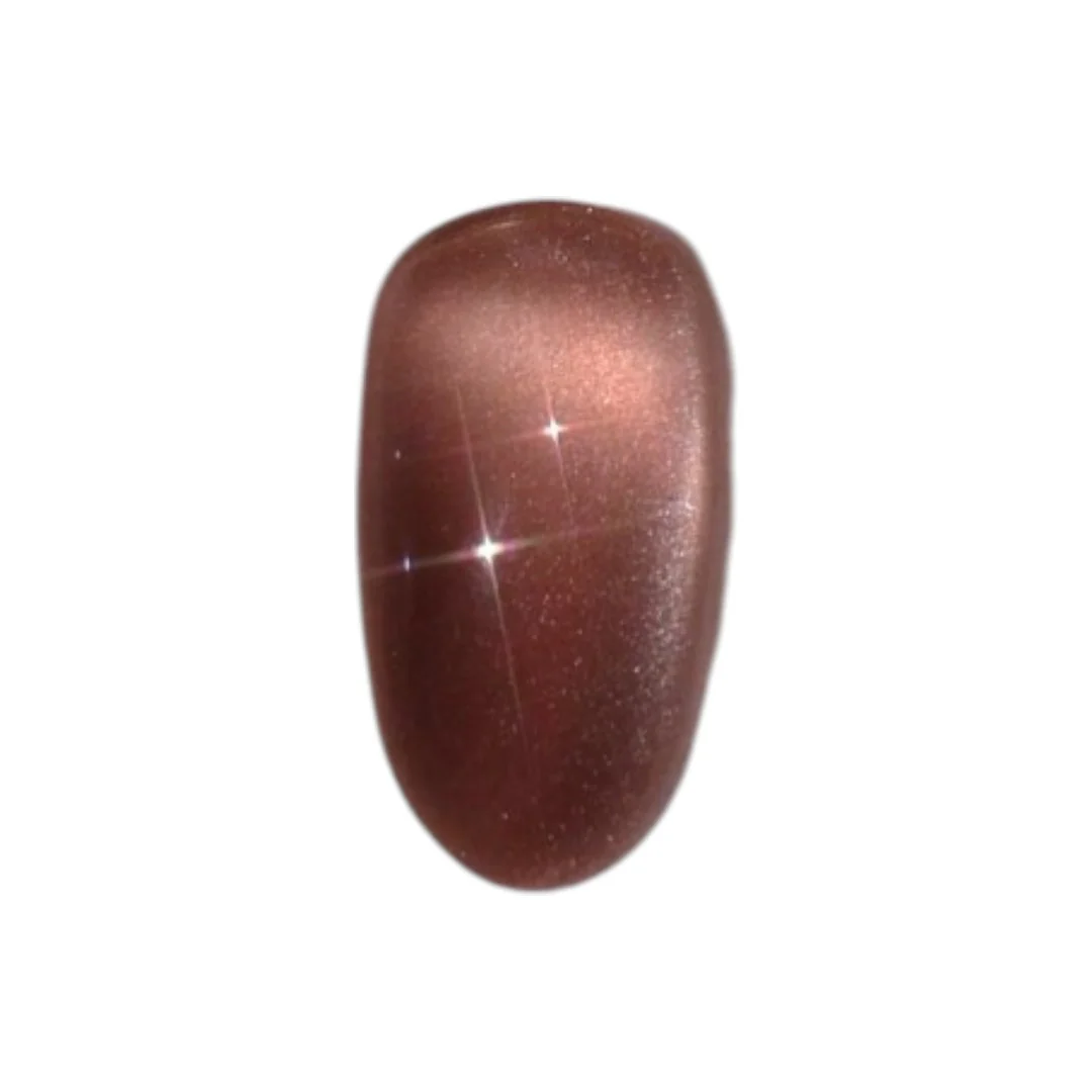 DGEL Signature Gel Polish - Brick Rose #DS224 - Image 4