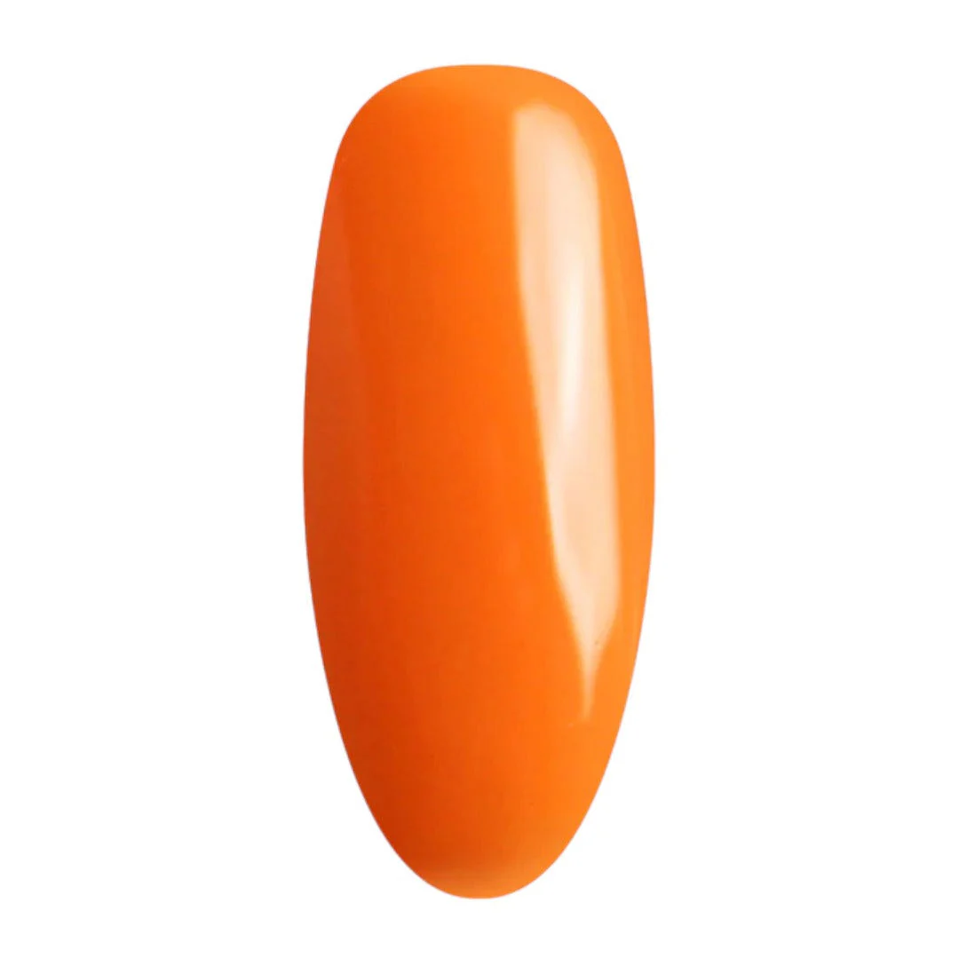 Elite Gel & Lacquer Duo #13 - Image 2