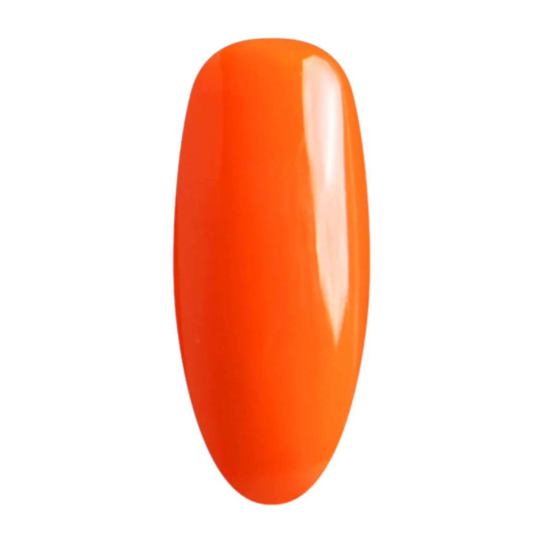 Elite Gel & Lacquer Duo #40 - Image 2