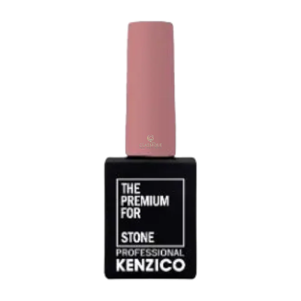 Kenzico Gel Colour #ST04