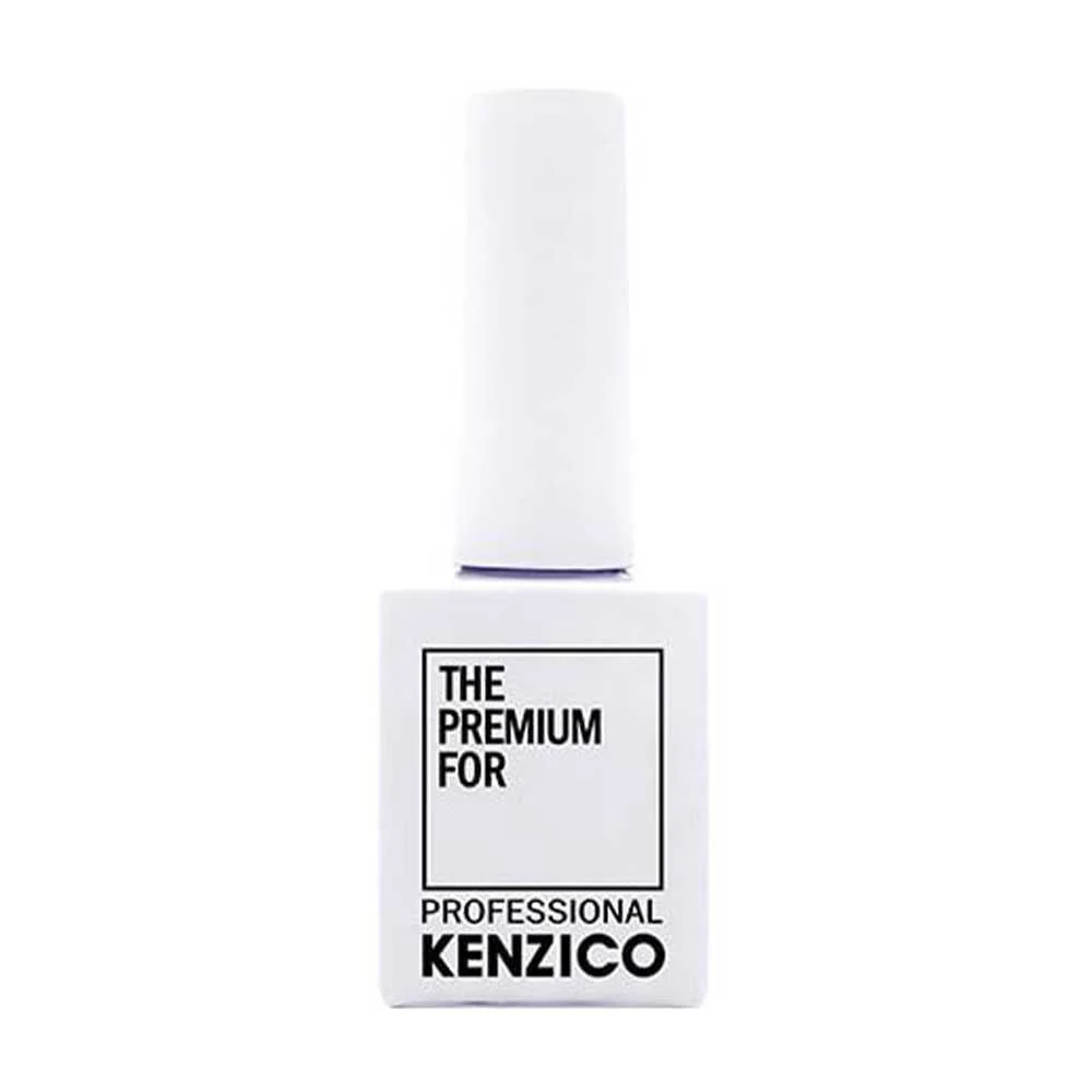 Kenzico Gel Colour #PR01