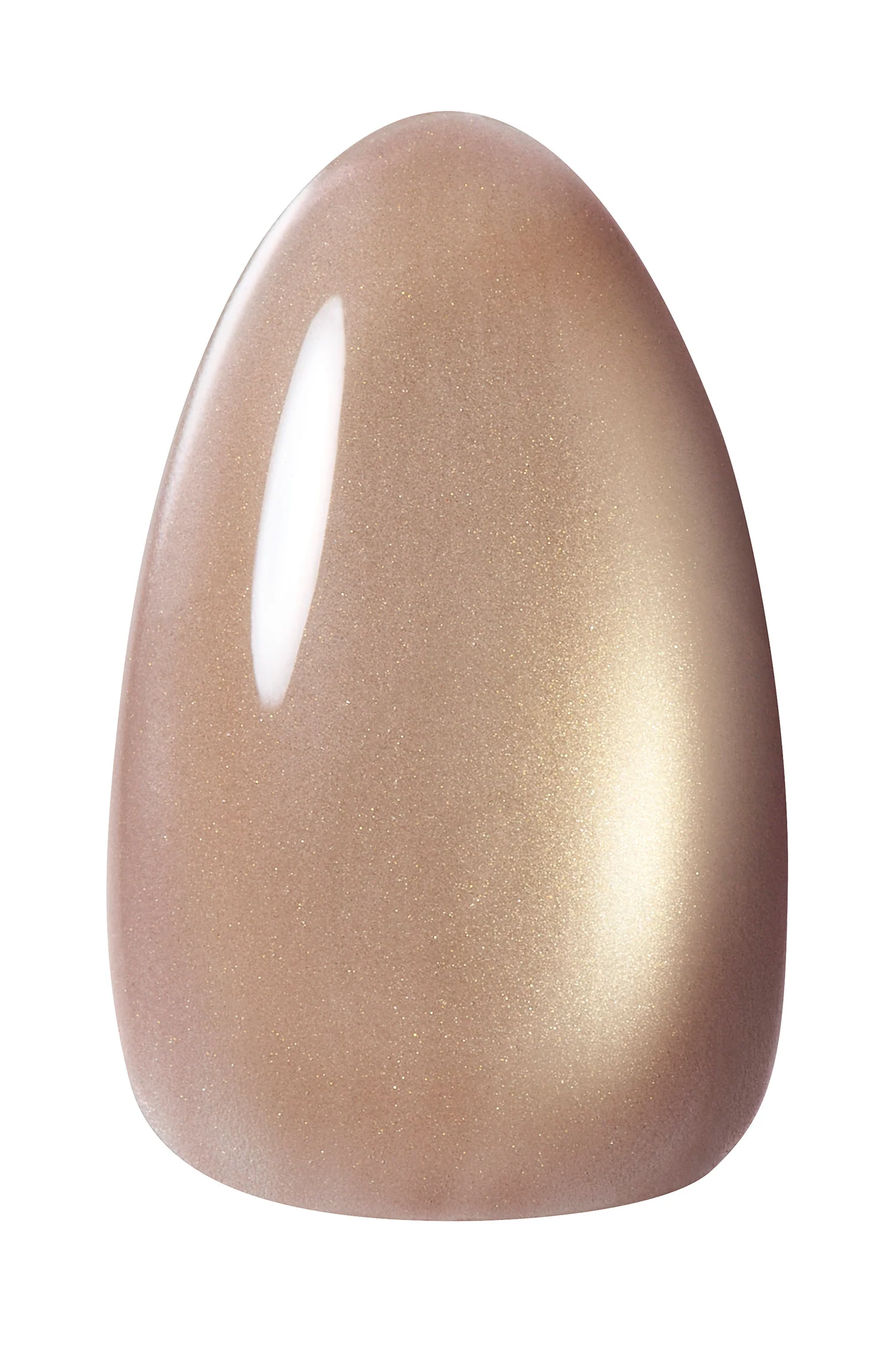 Kokoist Terra Magnet - Mushroom Stone #TM-51 - Image 2